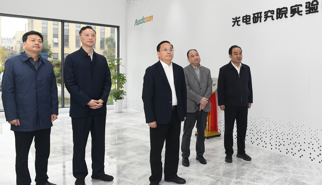 市領導調(diào)研骨干工業(yè)企業(yè)運行情況